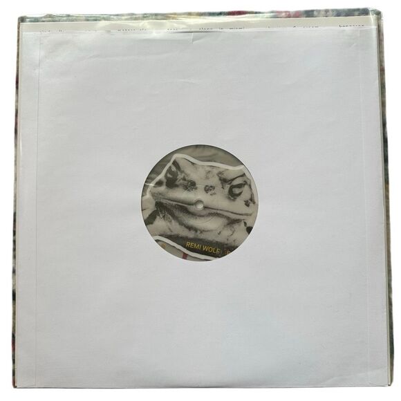 Remi Wolf – Big Ideas (Blood Records Frog Rock Edition) Ltd Transparent Picture - Picture 9 of 9